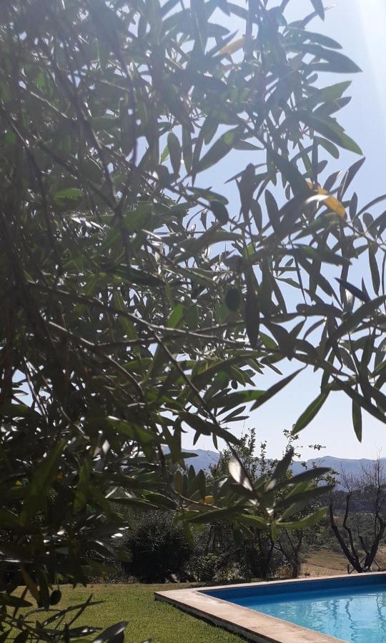 شقة Piso Blanco روندا المظهر الخارجي الصورة